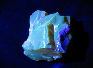 12-kyuujikohakukeikou1.JPGのサムネール画像