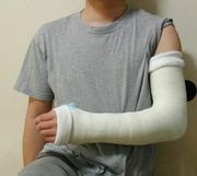 gips_wiki.jpg