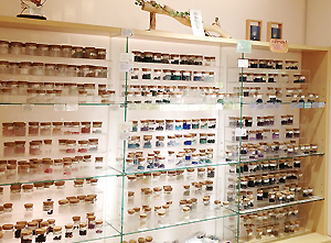 NAMBA PARKS（Karasade）