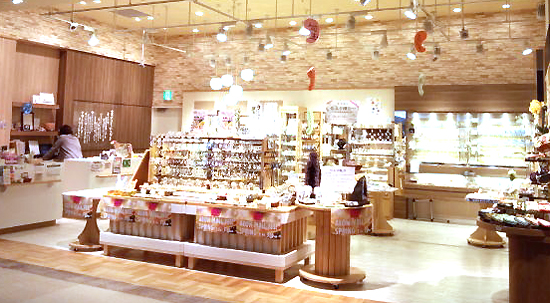 AEON MALL Chibanewtown