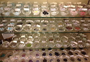 atre Kameido （karasade）